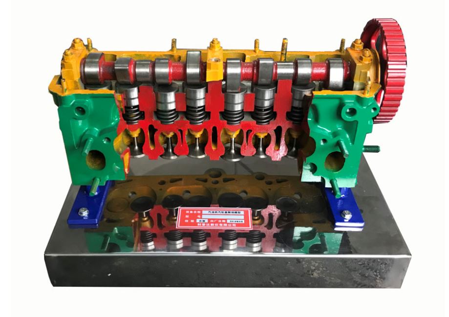 氣缸蓋解剖模型