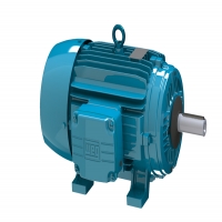 科魯茲發(fā)動機(jī)解剖模型